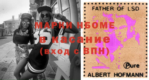 прущие грибы Вязьма