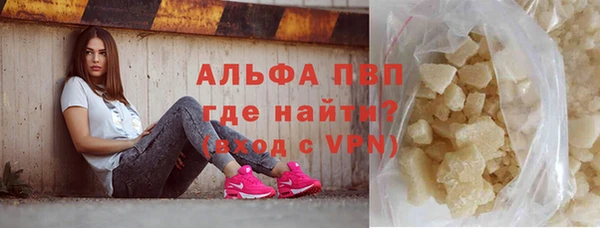 PSILOCYBIN Вяземский