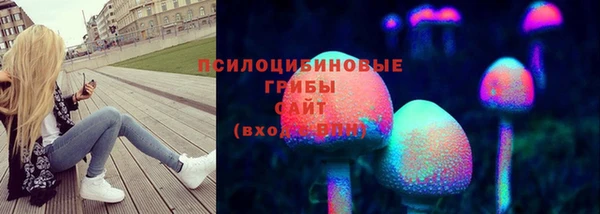 скорость Гусев