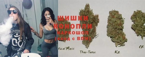 spice Гусь-Хрустальный