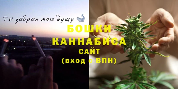 прущие грибы Вязьма