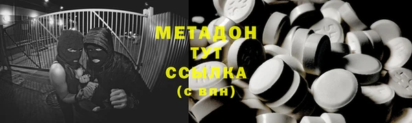 прущие грибы Вязьма