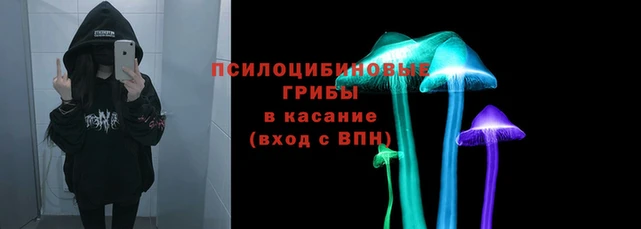 скорость Гусев