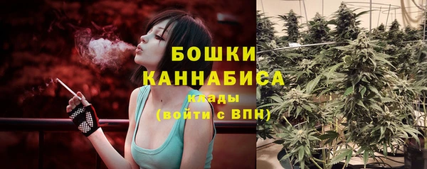 PSILOCYBIN Вяземский