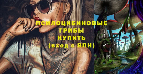 PSILOCYBIN Вяземский
