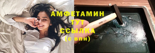 PSILOCYBIN Вяземский