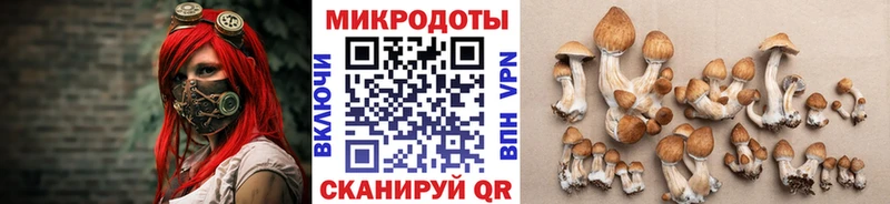Купить закладки  Красноперекопск  Галлюциногенные грибы GOLDEN TEACHER 